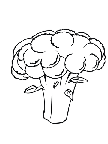 White Cauliflower Coloring Page